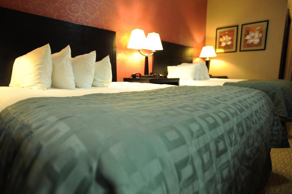 Verve Hotel نيو يورك الغرفة الصورة